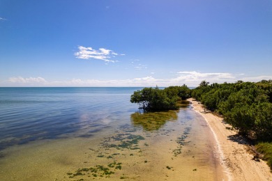 Beach Lot For Sale in Upper Matecumbe Key, Florida