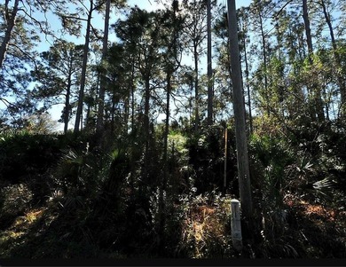Beach Lot For Sale in North Port, Florida