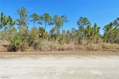 Beach Lot For Sale in Punta Gorda, Florida