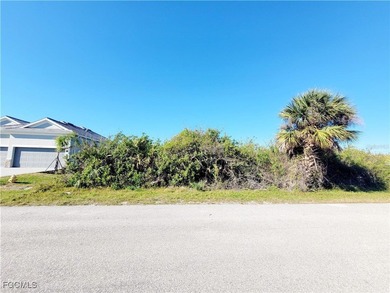 Beach Lot For Sale in Port Charlotte, Florida