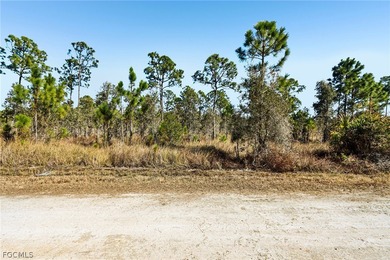 Beach Lot For Sale in Punta Gorda, Florida