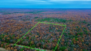 Beach Acreage For Sale in Free Soil, Michigan