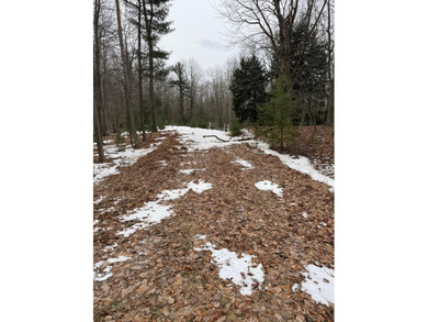 Beach Acreage For Sale in Manistee, Michigan