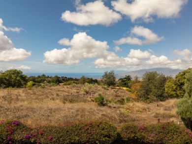 Beach Acreage For Sale in Kula, Hawaii