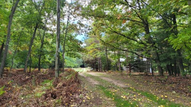 Beach Lot Off Market in Mears, Michigan