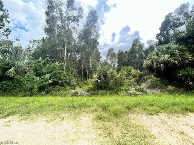 Beach Lot For Sale in Punta Gorda, Florida