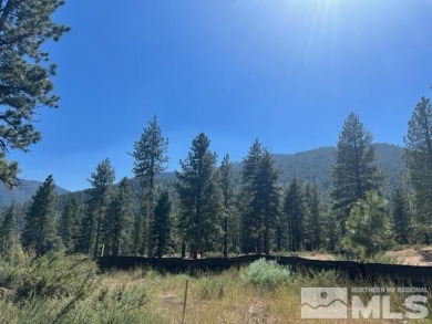 Beach Lot For Sale in Carson City, Nevada