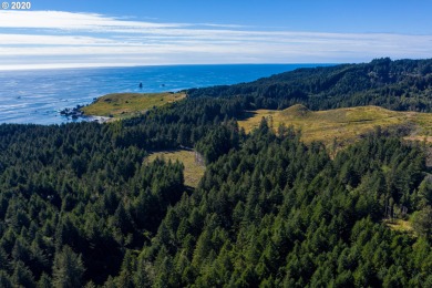 Beach Acreage Off Market in Brookings, Oregon