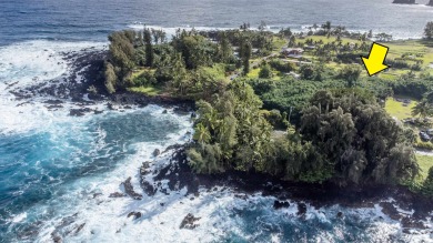 Beach Lot For Sale in Hana, Hawaii