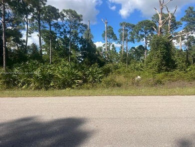 Beach Lot For Sale in Lehigh Acres, Florida