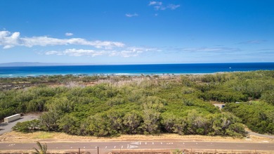Beach Acreage For Sale in Lahaina, Hawaii