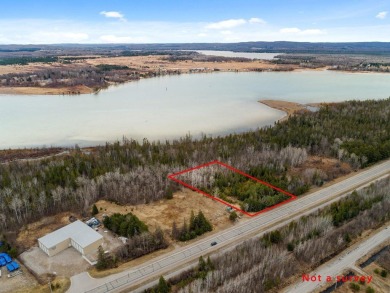 Beach Lot For Sale in Alanson, Michigan