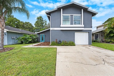 Beach Home For Sale in Tampa, Florida