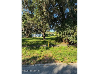 Beach Lot For Sale in Green Cove Springs, Florida
