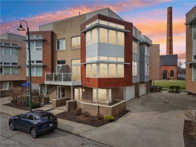 Beach Condo For Sale in Cleveland, Ohio