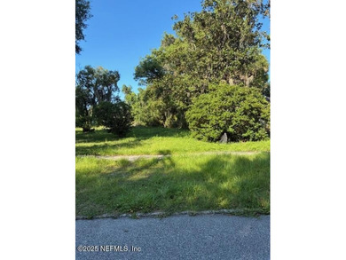 Beach Lot For Sale in Green Cove Springs, Florida