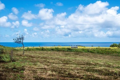 Beach Lot For Sale in Haiku, Hawaii
