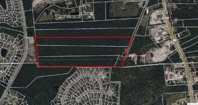 Beach Acreage Sale Pending in Murrells Inlet, South Carolina
