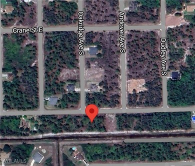 Beach Lot For Sale in Lehigh Acres, Florida