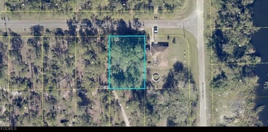Beach Lot For Sale in Lehigh Acres, Florida