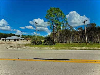 Beach Lot For Sale in Lehigh Acres, Florida