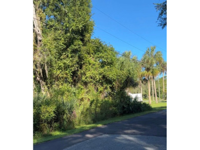 Beach Lot For Sale in Crystal River, Florida