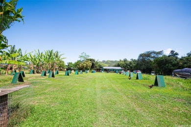 Beach Lot For Sale in Kaneohe, Hawaii