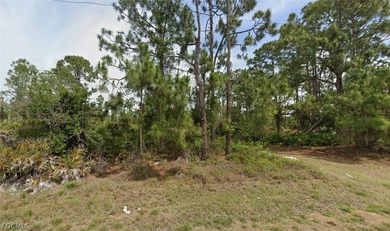 Beach Lot For Sale in Lehigh Acres, Florida