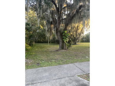 Beach Lot For Sale in New Smyrna Beach, Florida