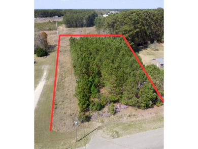 Beach Commercial For Sale in Little River, South Carolina