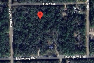 Beach Lot For Sale in Bunnell, Florida