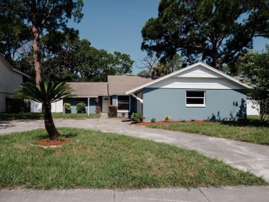 Beach Home For Sale in Tarpon Springs, Florida