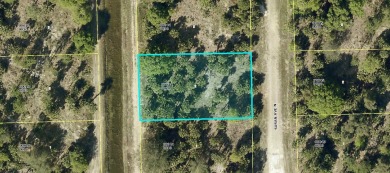 Beach Lot For Sale in Lehigh Acres, Florida