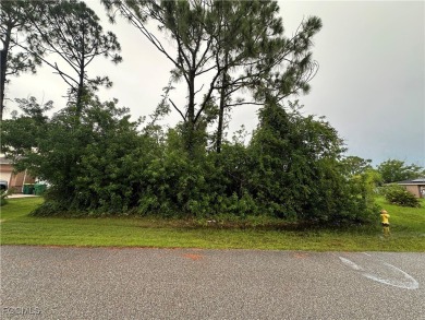 Beach Lot For Sale in Port Charlotte, Florida