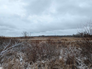 Beach Acreage Sale Pending in Au Gres, Michigan