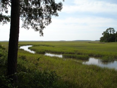 Beach Lot For Sale in Fernandina Beach, Florida