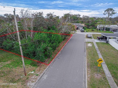 Beach Lot For Sale in Ormond Beach, Florida