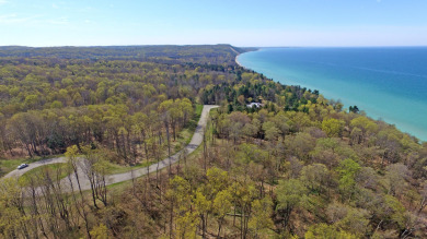 Beach Lot Off Market in Bear Lake, Michigan