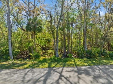 Beach Lot For Sale in Palm Coast, Florida
