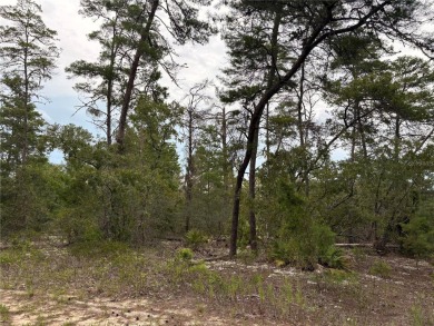 Beach Lot Sale Pending in Homosassa, Florida