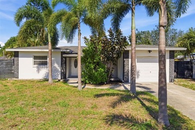 Beach Home For Sale in St. Petersburg, Florida