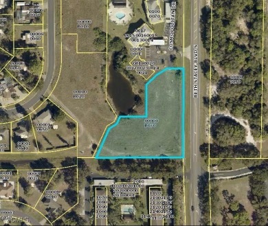 Beach Lot For Sale in Lehigh Acres, Florida