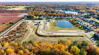 Beach Lot For Sale in Holland, Michigan