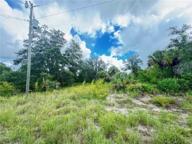 Beach Lot For Sale in Lehigh Acres, Florida