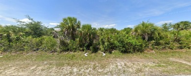 Beach Lot For Sale in Port Charlotte, Florida