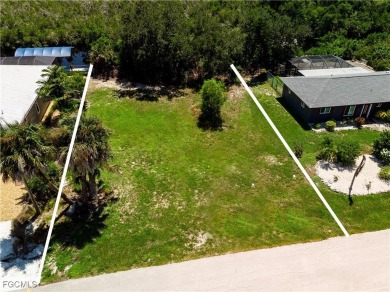 Beach Lot For Sale in Bokeelia, Florida