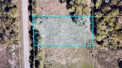 Beach Lot For Sale in Lehigh Acres, Florida