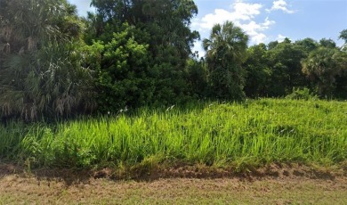 Beach Lot For Sale in North Port, Florida