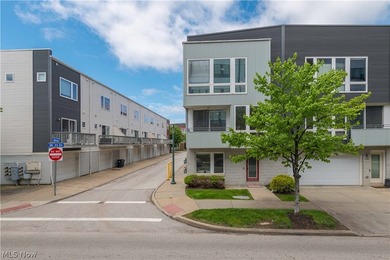 Beach Condo For Sale in Cleveland, Ohio