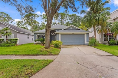 Beach Home For Sale in Tampa, Florida